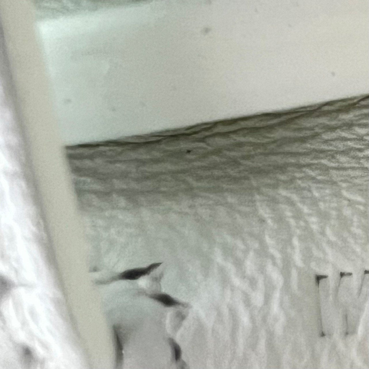 Kelly25 ケリー25 New white ニューホワイト GHW ゴールド金具 Swift スイフト Stamp-W W刻印