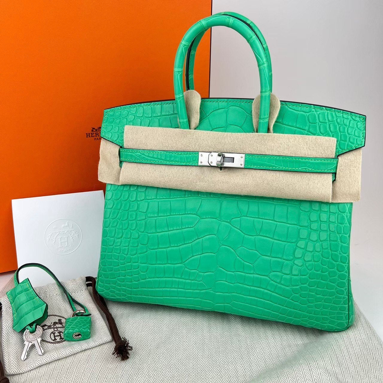 Birkin25 バーキン25 Vert comic ヴェールコミック PHW シルバー金具 Stamp-B B刻印