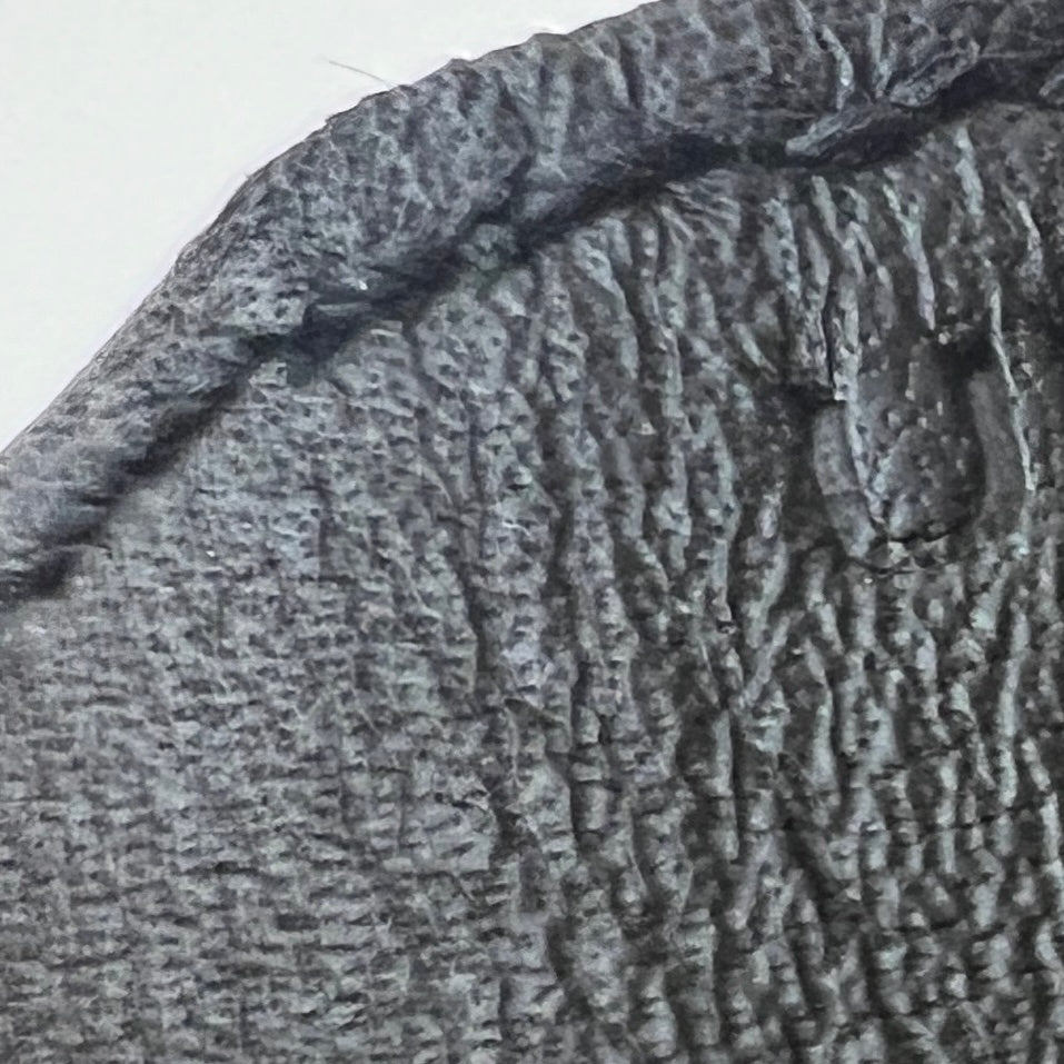 Birkin25 cargo バーキン25 カーゴ Toile goéland canvas トワルゴエランキャンバス シルバー金具 Stamp-U U刻印 Togo トゴ
