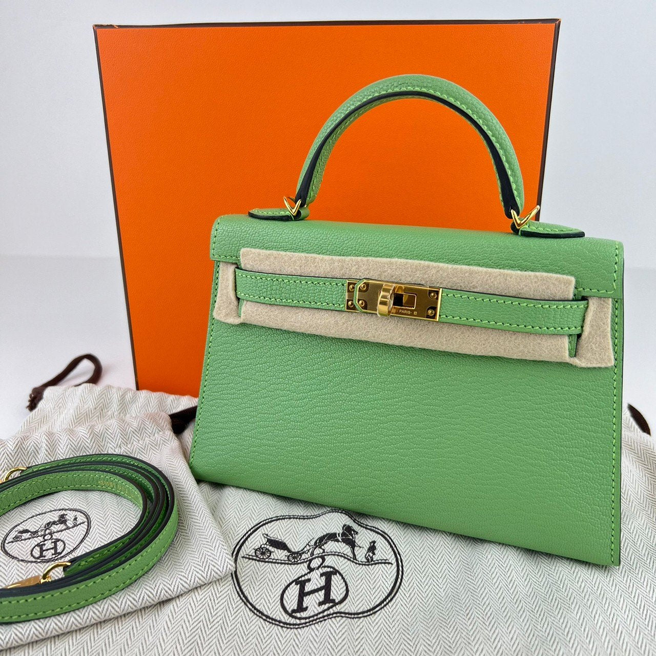 Mini kelly ミニケリー Vert criquet ヴェールクリケット GHW ゴールド金具 Chevre シェーブル Stamp-Z Z刻印