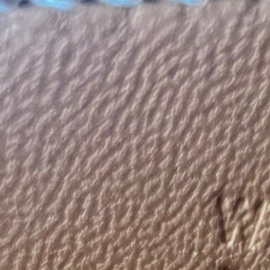 Constance elan コンスタンスエラン Gold ゴールド RGHW ローズゴールド金具 Epsom エプソン Stamp-W W刻印