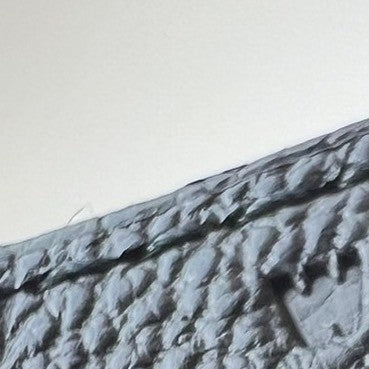 Birkin35 Anate バーキン35 アナーテ フリンジ Black ブラック W刻印 Evergrain エバーグライン