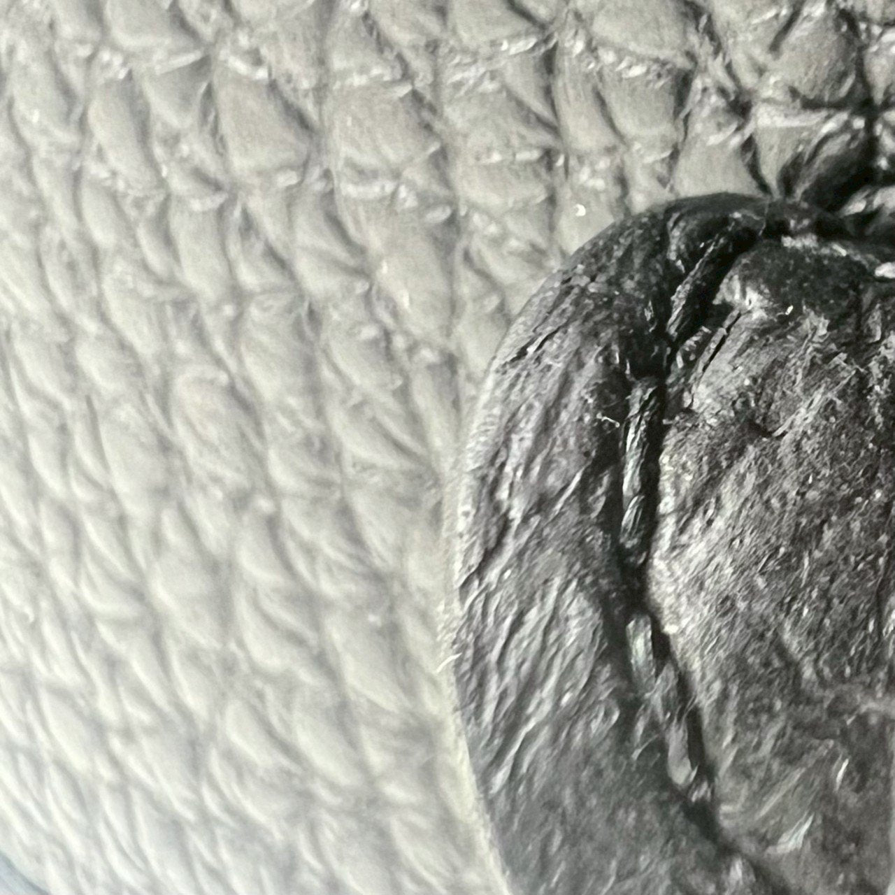 Evelyn TPM エヴリンTPM Black ブラック GHW ゴールド金具 Taurillon Clemence トリヨンクレマンス Stamp-W W刻印