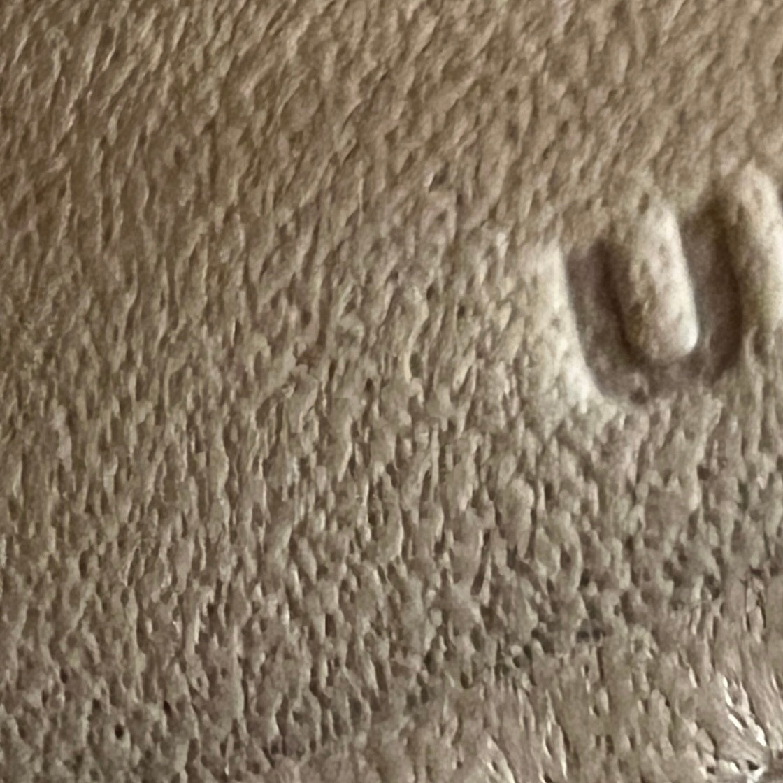 Mini kelly tricolor ミニケリートリコロール Stamp-U U刻印 Epsom エプソン Chai/Mauve sylvester/Lime チャイ/モーヴシルベストル/ライム PHW シルバー金具