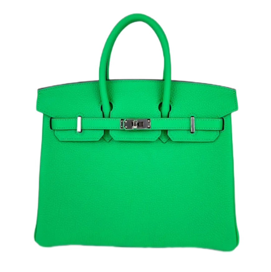 Birkin 25 バーキン25 Vert comics ヴェールコミック Togo トゴ PHW シルバー金具