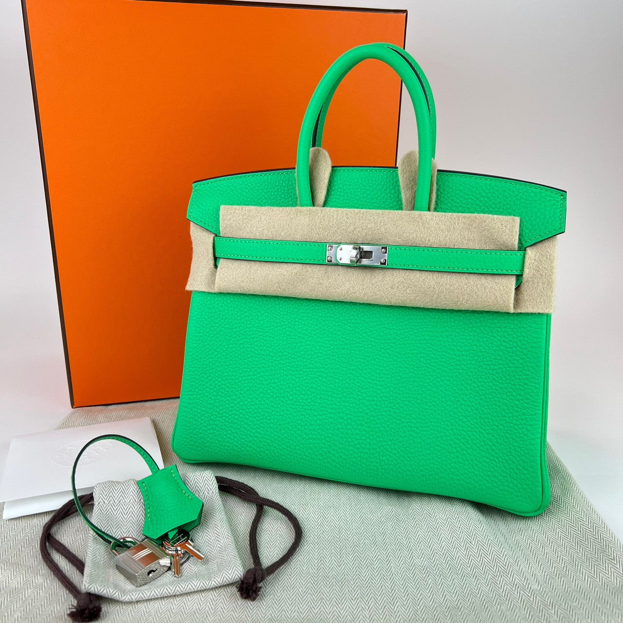 Birkin 25 バーキン25 Vert comics ヴェールコミック Togo トゴ PHW シルバー金具