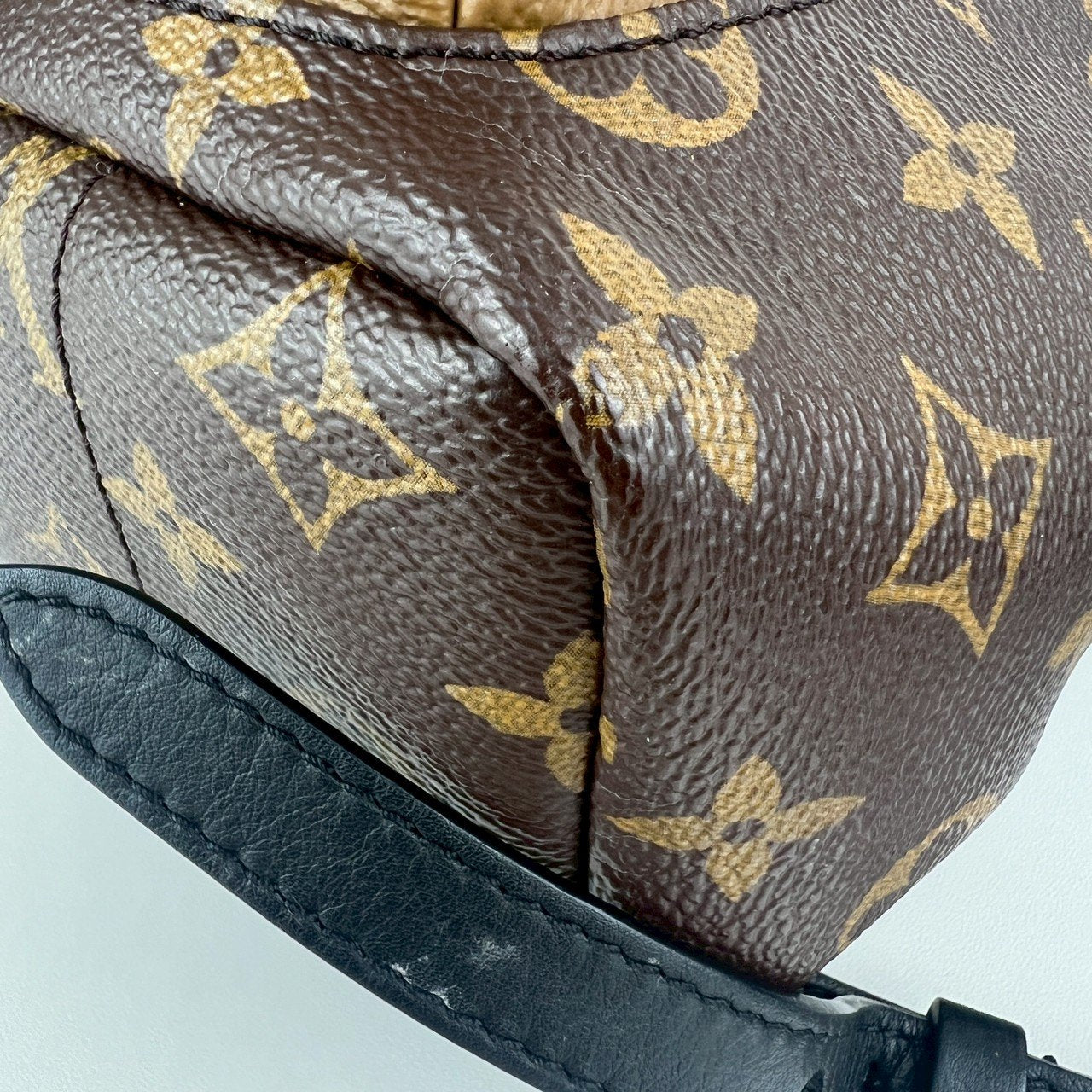 リュックサック ブラウン モノグラム・リバースキャンバスレザー