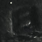 Mini kelly cloute ミニケリークルーテ Black ブラック  PHW シルバー金具 Epsom エプソン Stamp-B B刻印