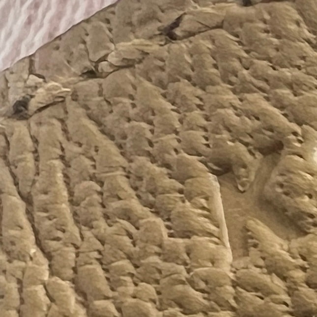 Mini kelly disorder ミニケリー 無秩序 Poussiere プシエール PMBHW  シャンパンゴールド金具 Stamp-K K刻印 Epsom エプソン