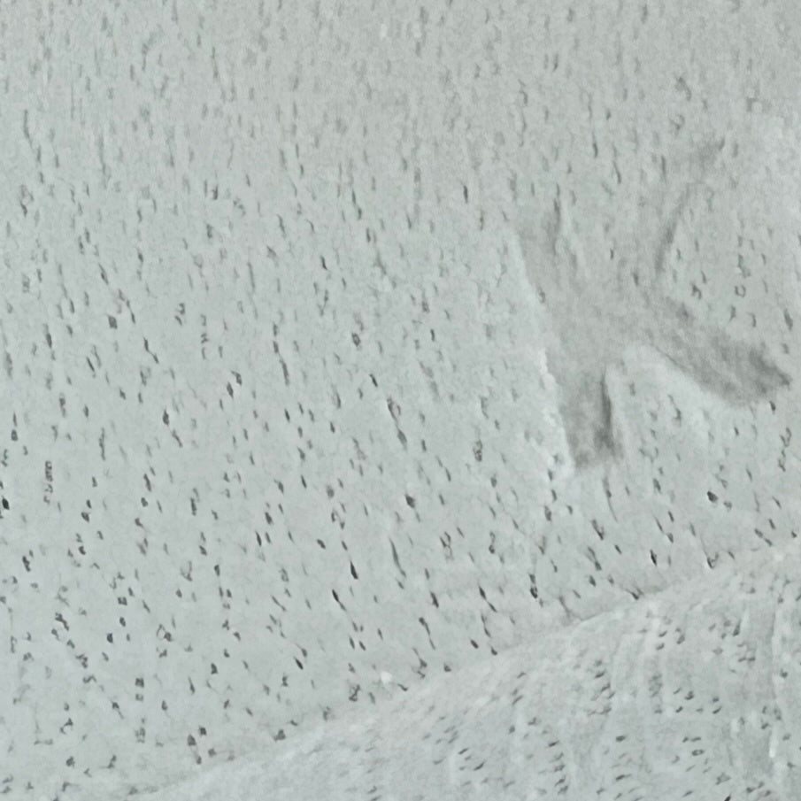 Mini kelly ミニケリー New white ニューホワイト Epsom エプソン PHW シルバー金具 Stamp-K K刻印