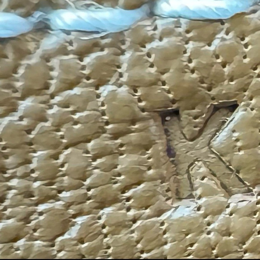 Birkin30 バーキン30 Gold ゴールド GHW ゴールド金具 Stamp-K K刻印 Togo トゴ