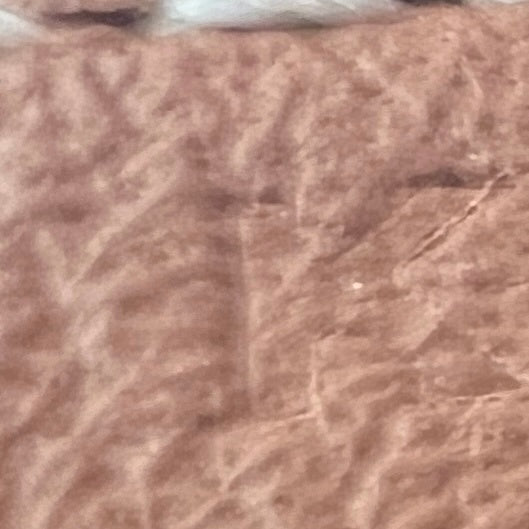 Birkin25 cargo バーキン25 カーゴ Gold ゴールド Toile goelan/Swift トワルゴエラン/スイフト PHW シルバー金具 Stamp-K K刻印