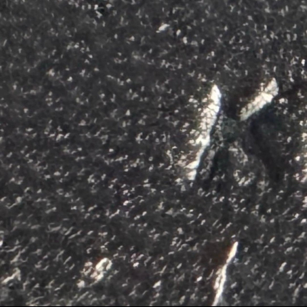 Mini kelly ミニケリー Black ブラック Epsom エプソン GHW ゴールド金具 Stamp-K K刻印