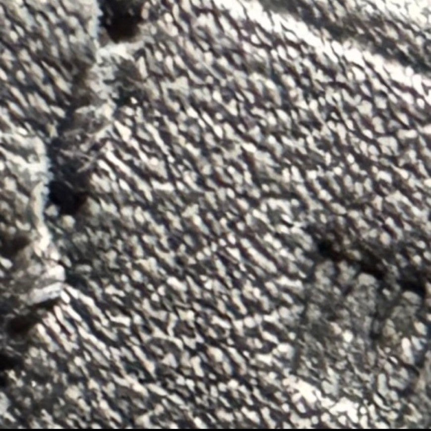 Birkin35 cargo バーキン35カーゴ　Black ブラック  PHW シルバー金具　Toile goelan/Swift　Stamp-W W刻印