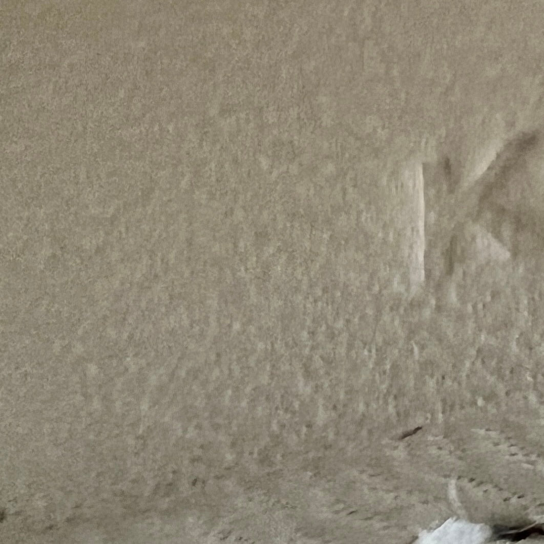 Mini kelly ミニケリー Craie クレ Epsom エプソン GHW ゴールド金具 Stamp-K K刻印