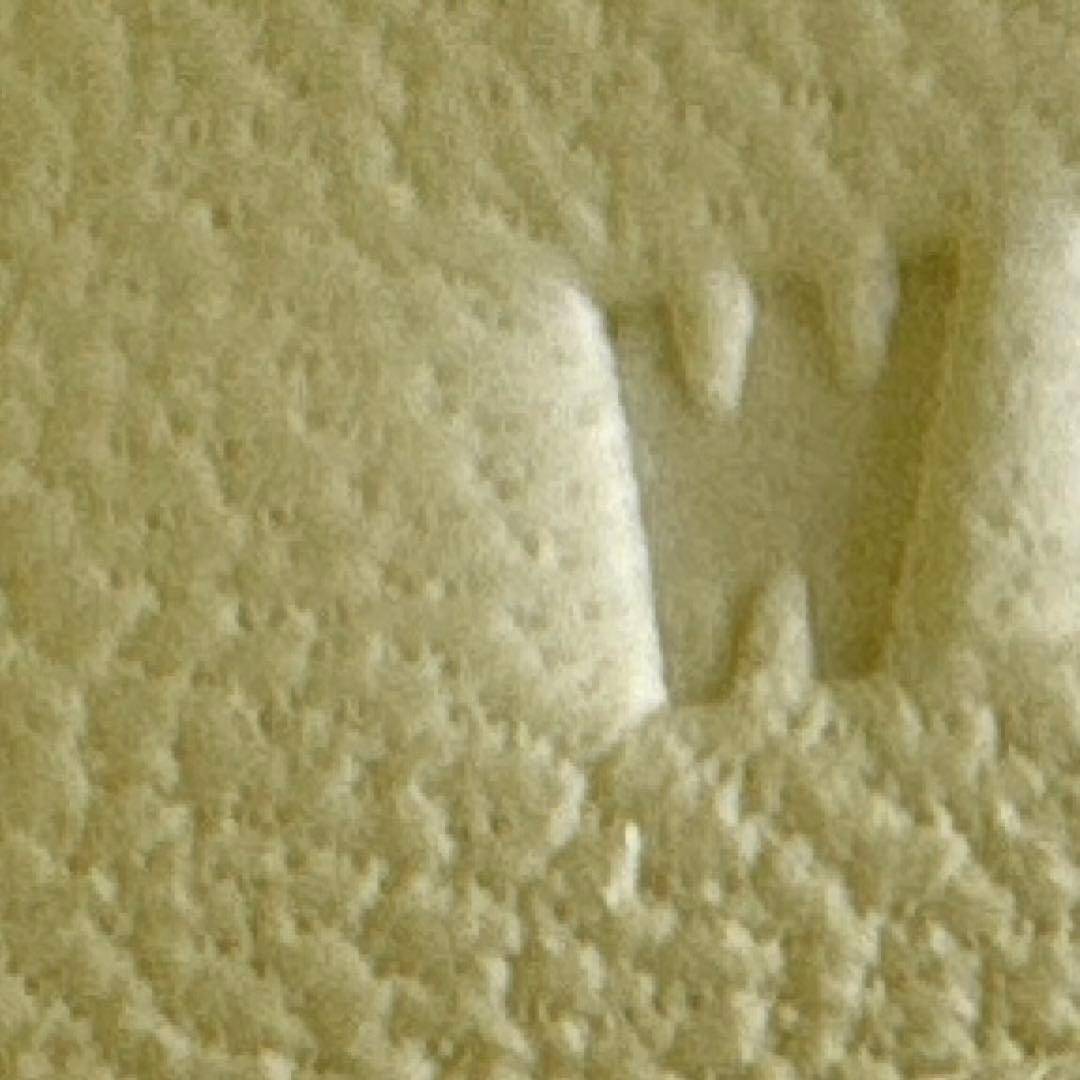 Mini kelly Jaune milton ジョーヌミルトン Epsom エプソン EHW エレクトラム金具 Stamp-W W刻