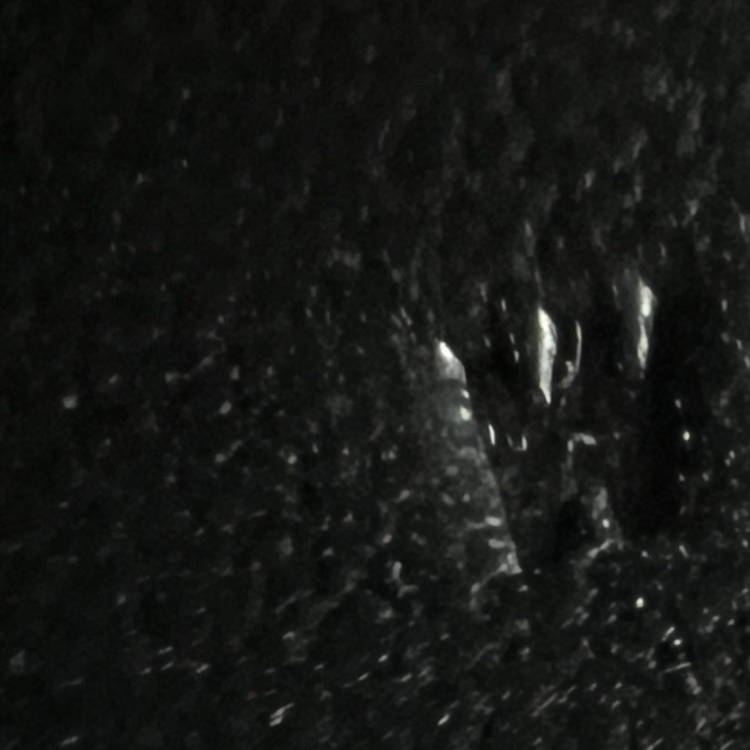 Mini kelly ミニケリー Black ブラック  GHW ゴールド金具 Epsom エプソン Stamp-W W刻印