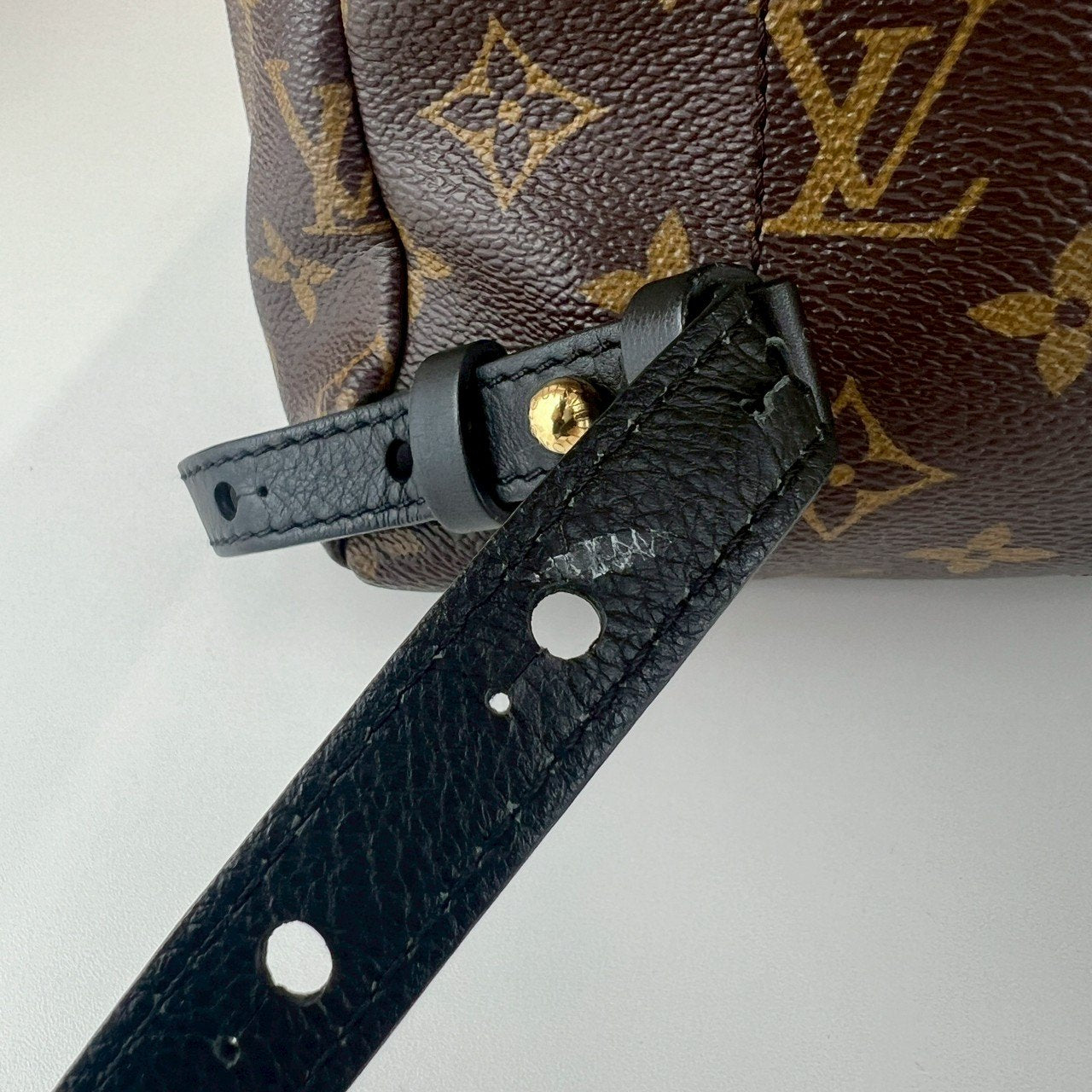 リュックサック ブラウン モノグラム・リバースキャンバスレザー